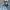 Vivienne westwood man stripe button shirt photo 5
