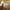 Women Wallet Charles & Keith , Beige  photo 3
