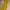 Yellow Bodycon Dress