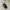 Jacket puffer ultralight uniqlo packable 3D cut goose down photo 1