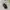 Jacket Puffer Ultralight Uniqlo Packable 3D Cut Goose Down