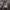 Jacket puffer ultralight uniqlo packable 3D cut goose down photo 7