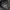 Jacket puffer ultralight uniqlo packable 3D cut goose down photo 4