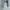 Streetwear Avant Garde Casual pants Pria blue photo 3