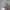H&M Y2K Minimalist Mini skirt Wanita green photo 2