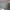 H&M Y2K Minimalist Mini skirt Wanita green photo 3