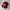 Topi New Era Snapback The USA photo 1