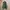 Vintage 2000s Goa N3B Parka Japanese brand avant garde photo 5