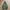 Vintage 2000s Goa N3B Parka Japanese brand avant garde photo 9