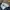 Nike Streetwear Sportswear Windbreaker Pria navy photo 7