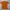 KAOS POKEMON CENTER PIKACHU ORIGINAL 100% photo 1