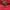 Topi NFL Arizona Cardinal (Baca Deskripsi)