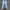 Celana Jeans Denim Riped LeeCooper photo 1