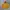 Hoodie Kuning