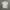 Baju kaos kerah UNIQLO photo 1