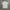 Baju Kaos Kerah UNIQLO