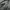 HANDPAINT DASI CYBER ART VOLT 3 BY CYBER.REWORK photo 2