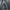 HANDPAINT DASI CYBER ART VOLT 3 BY CYBER.REWORK photo 3