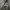 HANDPAINT DASI CYBER ART VOLT 3 BY CYBER.REWORK