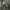 HANDPAINT DASI CYBER ART VOLT 3 BY CYBER.REWORK photo 3