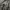 HANDPAINT DASI CYBER ART VOLT 3 BY CYBER.REWORK photo 2