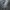 HANDPAINT DASI CYBER ART VOLT 3 BY CYBER.REWORK photo 2