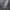 HANDPAINT DASI CYBER ART VOLT 3 BY CYBER.REWORK