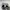 adidas superstar shoes men white photo 4