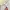 UNIQLO purple white floral babydoll tanktop bra  photo 5