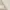 WACOAL ivory cream lace v neck tanktop bra photo 4
