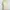 WACOAL ivory cream lace v neck tanktop bra photo 2