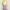 purple ribbon lace v neck tanktop bra photo 2