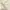 cream floral lace v neck tanktop bra photo 4