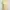 cream floral lace v neck tanktop bra photo 3
