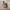ADIDAS HANBALL SPEZIAL photo 3