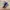 ADIDAS HANBALL SPEZIAL photo 4