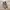 ADIDAS HANBALL SPEZIAL photo 5