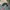 Topi Minecraft photo 3