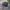 Topi Minecraft photo 1
