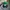 Topi Minecraft photo 4