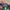 Topi Minecraft photo 6