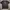 PPFM Skull Bones T-shirt photo 1