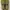 Adidas Country Classic Vintage Rare "2006" photo 6