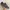 Adidas Country Classic Vintage Rare "2006" photo 1