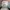 Adidas Country Classic Vintage Rare "2006" photo 7