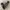 Adidas Country Classic Vintage Rare "2006" photo 4