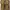 CATERPILLAR BOOTS EASE Low  Wheat Nubuck photo 7