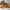 Supra Vaider Skate Boarding Sneakers Wheat Good Condition photo 2