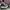 converse high photo 3