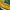 Oversized Jersey NDSU by Colosseum Athletics photo 3